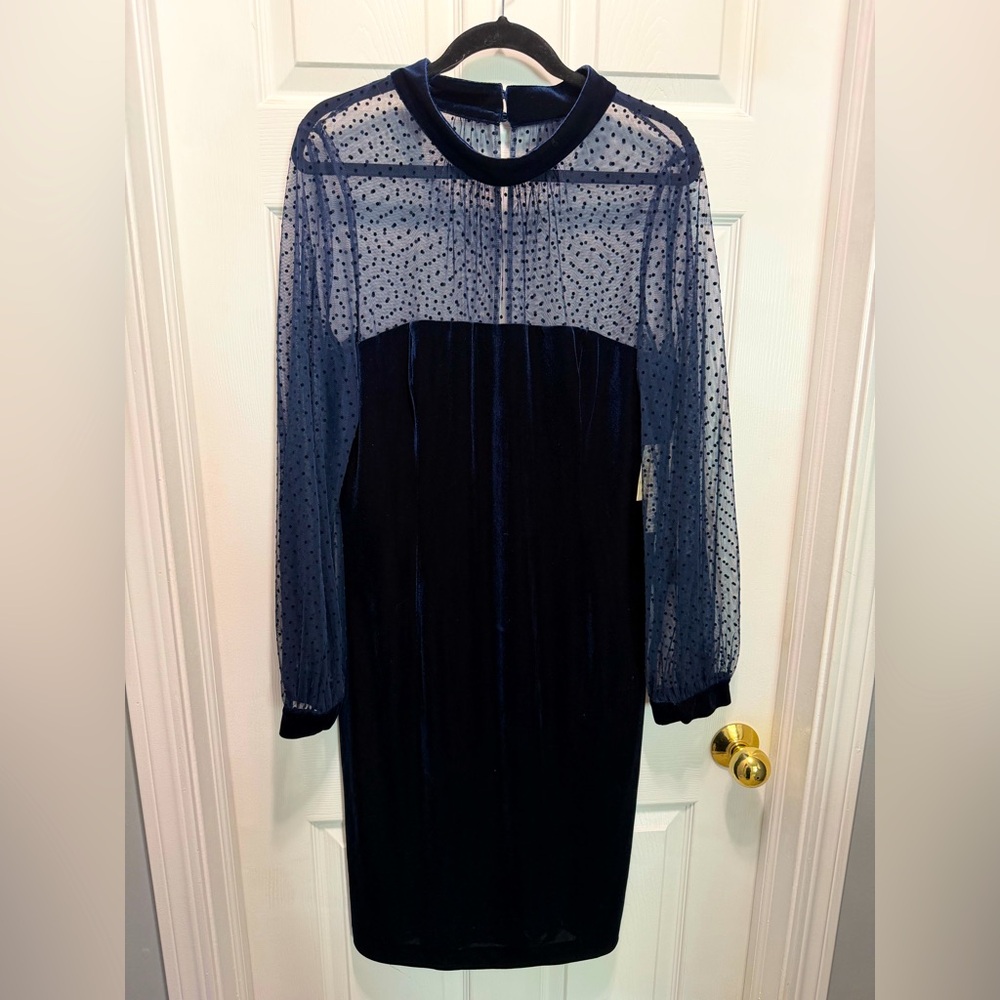 Eliza J Navy Velvet Dress with Sheer Polka Dot Sleeves